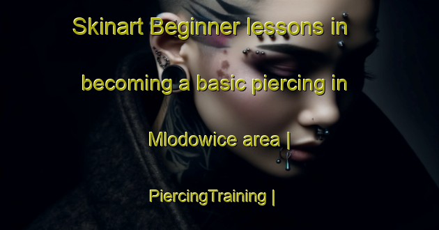 Skinart Beginner lessons in becoming a basic piercing in Mlodowice area | PiercingTraining | PiercingClasses | SkinartTraining-Poland